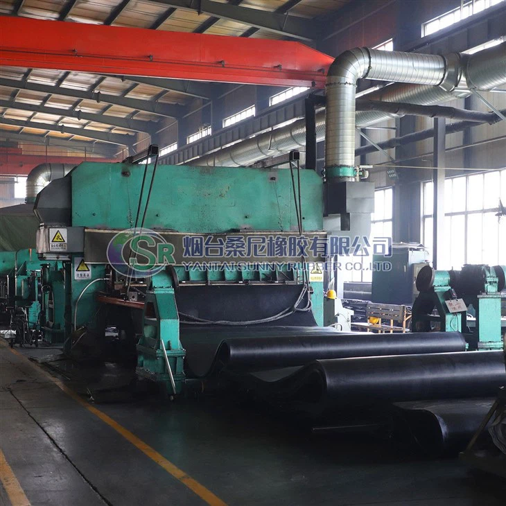 Προσαρμοσμένος ιμάντας μεταφοράς από καουτσούκ EP