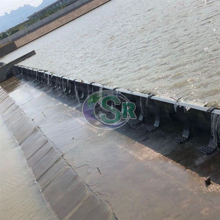 Πνευματική πύλη υπερχείλισης που υποστηρίζεται από φουσκωτή σακούλα